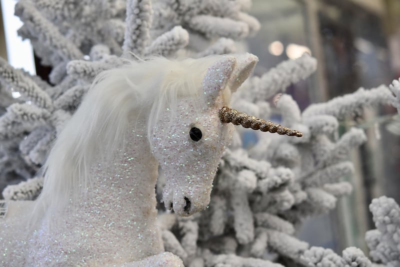 Unicorn reflections