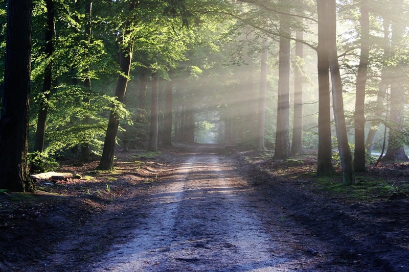 Runestone Pathways